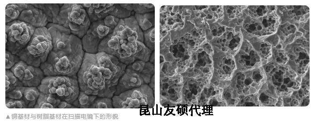 荆门蔡司荆门扫描电镜