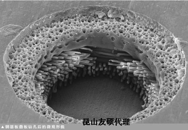 荆门蔡司荆门扫描电镜